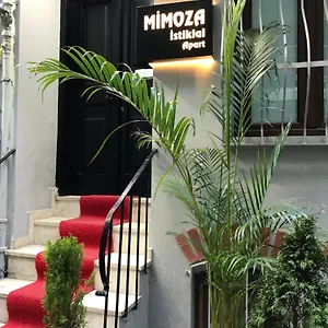 Mimoza Istiklal Apart اسطنبول